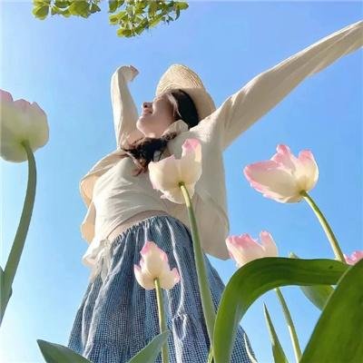 小太阳达芬妮