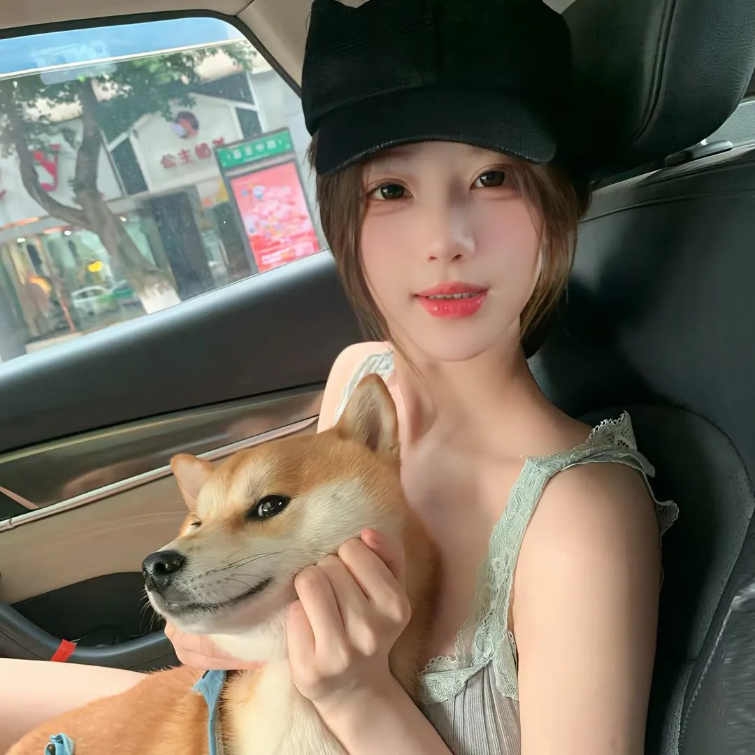 神犬出击